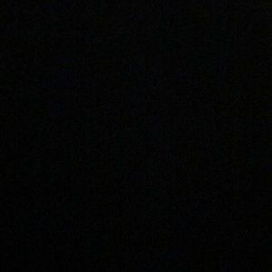 Meet your Posher, Ella